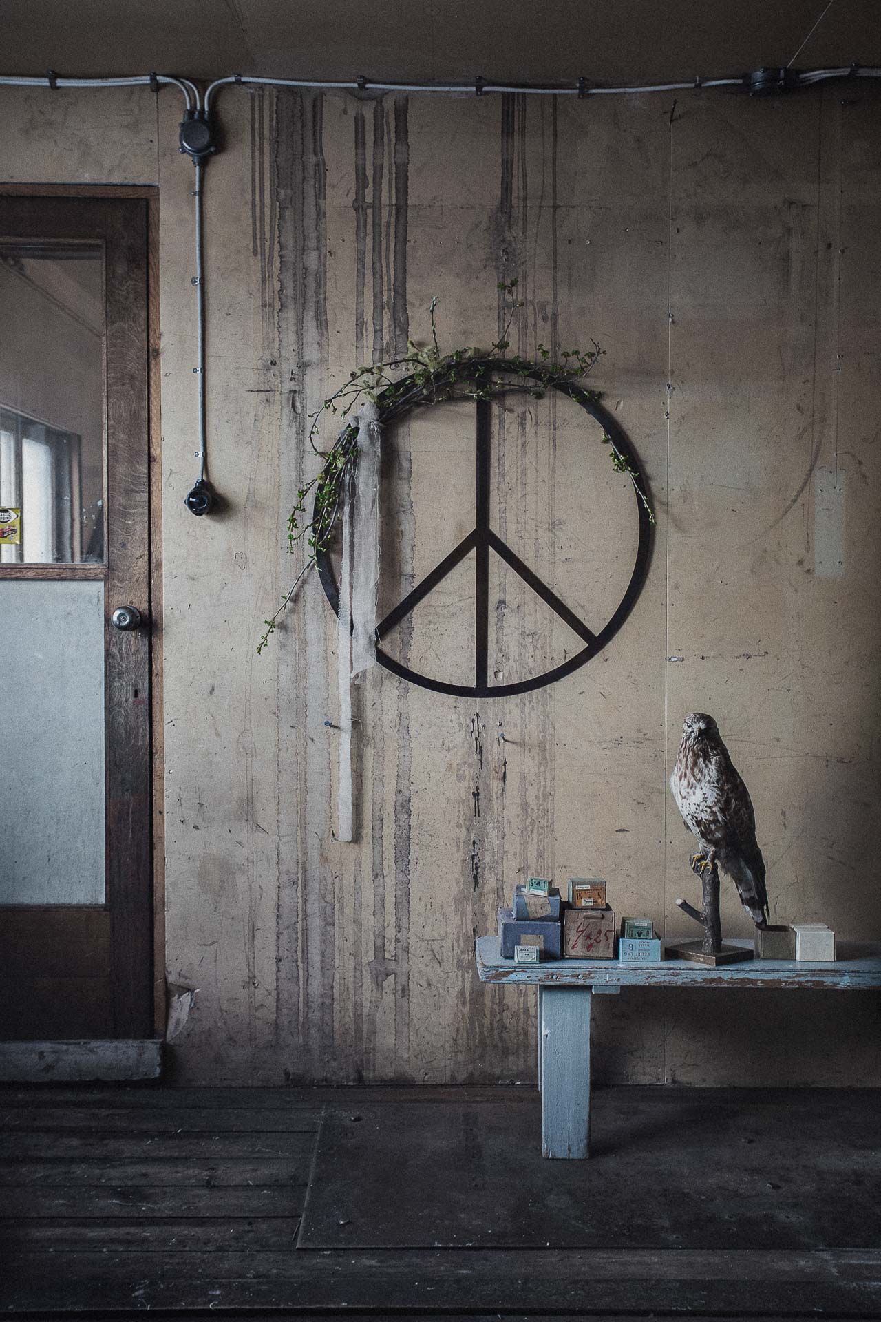 PEACE PLEASE large