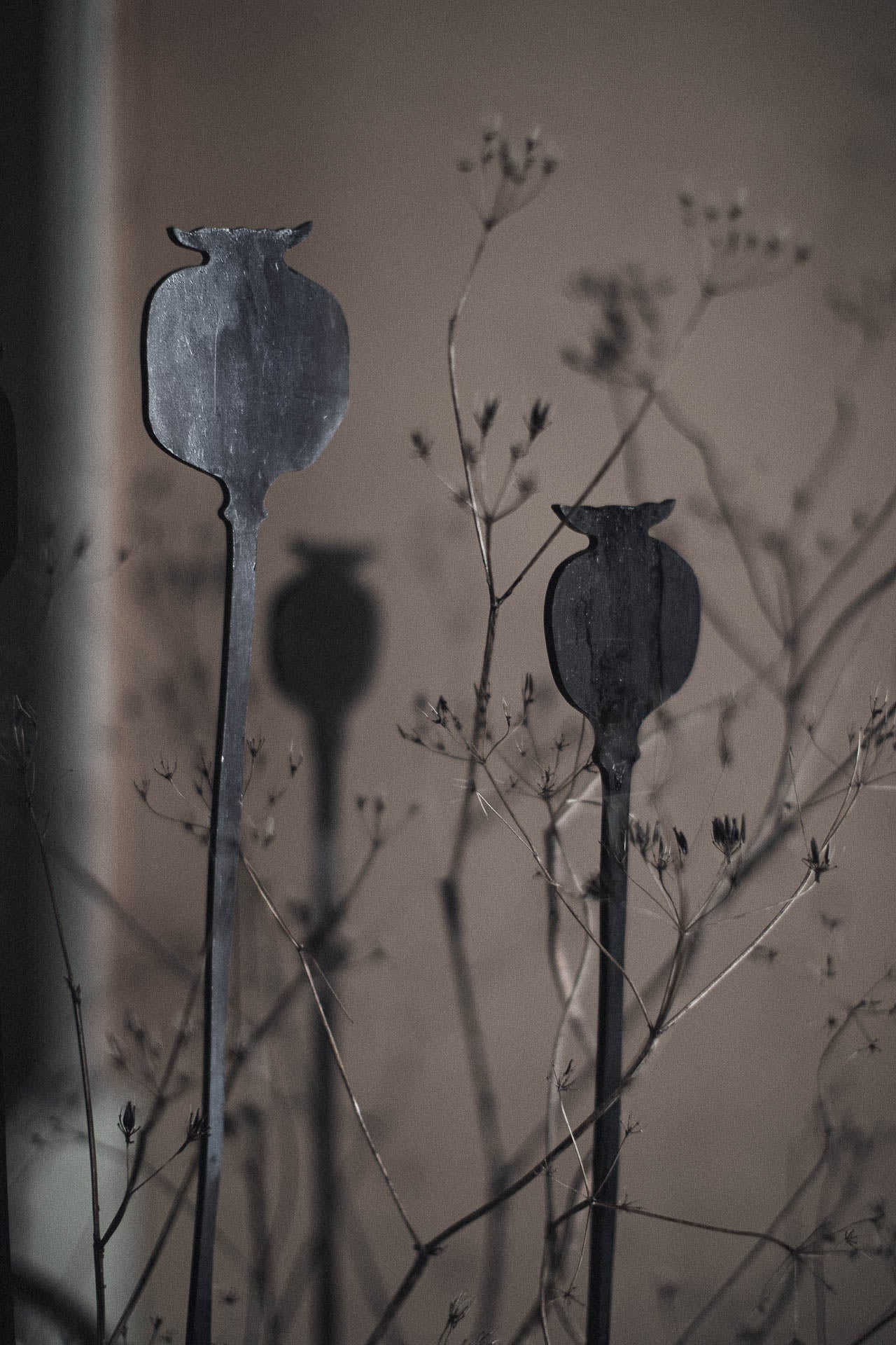 Växtstöd PAPAVER