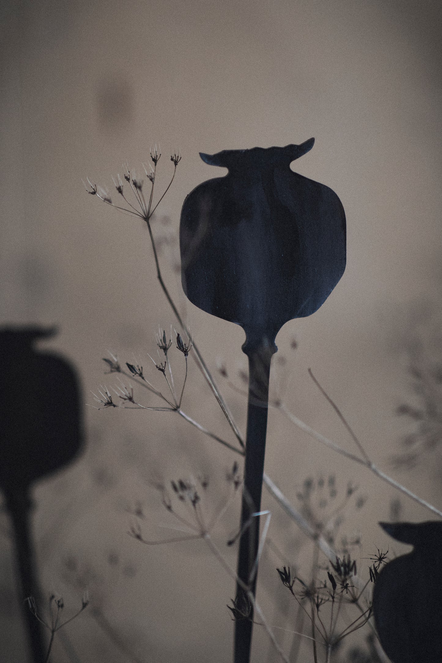 Växtstöd PAPAVER