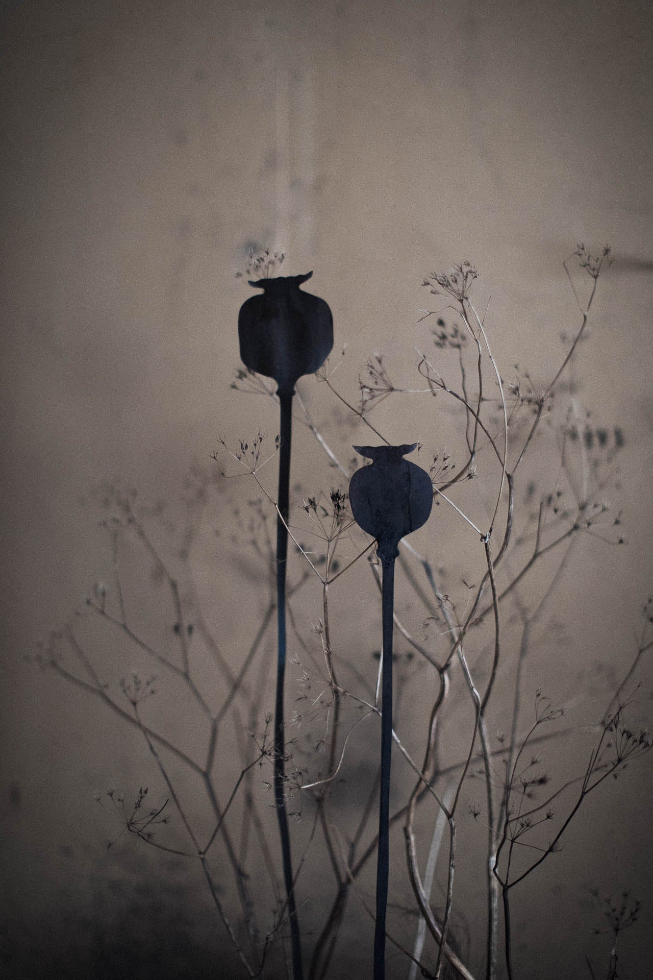 Växtstöd PAPAVER
