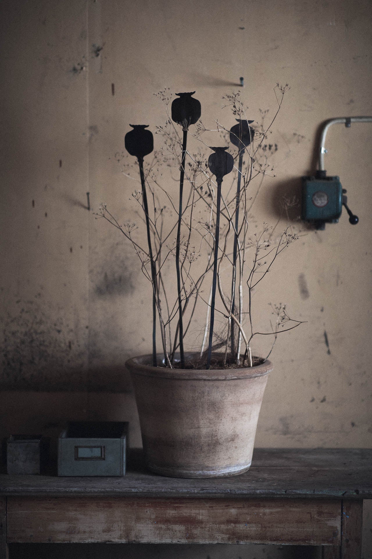 Växtstöd PAPAVER