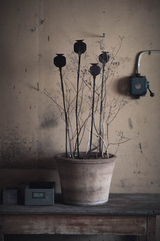 Växtstöd PAPAVER