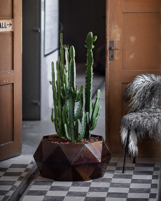 Krukan LOTUS, medium