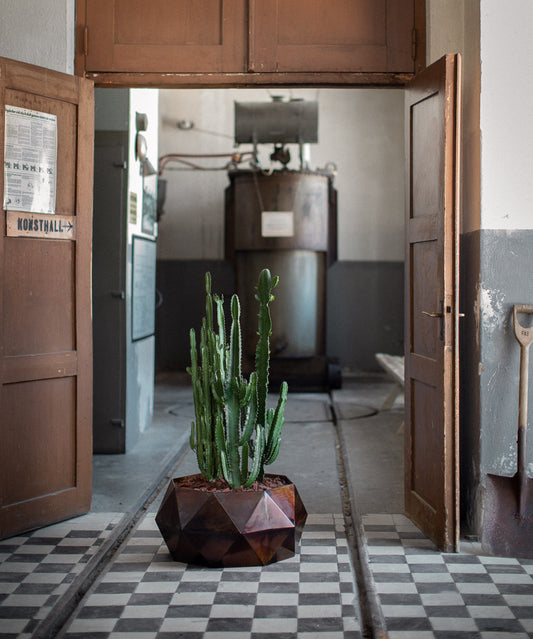 Krukan LOTUS, medium